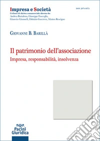 Il patrimonio dell'associazione. Impresa, responsabilità, insolvenza libro