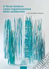 Il terzo settore come organizzazione della solidarietà libro
