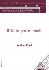 Il giudice penale minorile