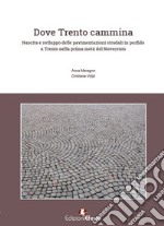 Dove Trento cammina. Nascita e sviluppo delle pavimentazioni stradali in porfido a Trento nella prima metà del Novecento libro