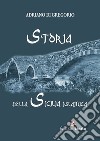 Storia della Sicilia islamica libro di Di Gregorio Adriano
