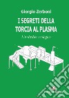 I segreti della torcia al plasma. Un thriller ecologico libro di Zerboni Giorgio