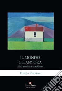 Il mondo c'è ancora. Città, territorio, ambiente libro