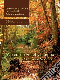 A piedi da Ascoli al Ceppo. Diario di un territorio libro