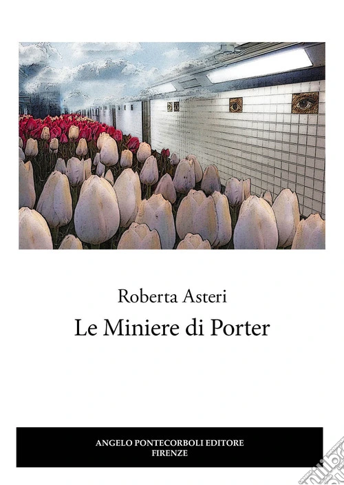 Le miniere di Porter