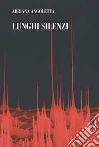 Lunghi silenzi libro