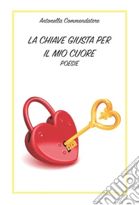 La chiave giusta per il mio cuore libro