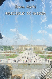Briciole di gioia libro