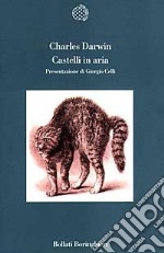 Castelli in aria. Taccuini M. N. Profilo di un bambino libro