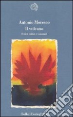 Il vulcano libro