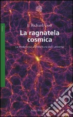 La ragnatela cosmica. La misteriosa architettura dell'universo libro