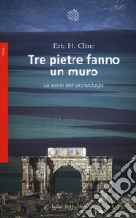 Tre pietre fanno un muro. La storia dell'archeologia libro