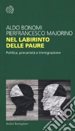 Nel labirinto delle paure. Politica, precarietà e immigrazione libro