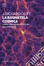 La ragnatela cosmica. La misteriosa architettura dell'universo libro