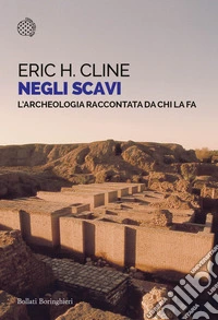 Negli scavi. L'archeologia raccontata da chi la fa libro