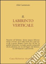 Il labirinto verticale libro