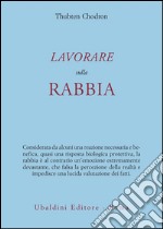 Lavorare sulla rabbia libro