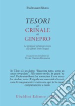 Tesori dal crinale del ginepro. Le profonde istruzioni-tesoro alla dâkinî Yeshe Tsogyal libro