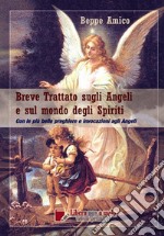 Breve trattato sugli angeli e sul mondo degli spiriti libro