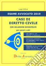 Esame avvocato 2019. Casi di diritto civile. Con soluzioni dimostrate per pareri e atti libro