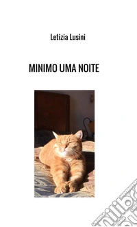 Minimo uma noite