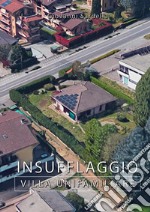 Insufflaggio villa unifamiliare