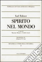 Metafisica e storia della metafisica. Vol. 7: Spirito nel mondo