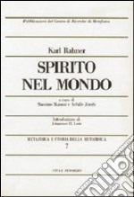 Metafisica e storia della metafisica. Vol. 7: Spirito nel mondo