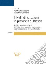 I livelli di istruzione in provincia di Brescia. Atti del workshop sui temi dell'abbandono scolastico e universitario e dell'innalzamento dei livelli formativi libro