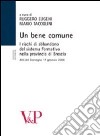 Un bene comune. I rischi di abbandono del sistema formativo nella provincia. Atti del Convegno (Brescia, 17 gennaio 2008) libro