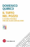 Il tuffo nel pozzo. È ancora possibile fare del buon giornalismo? libro