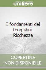 I fondamenti del feng shui. Ricchezza libro