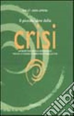 Il Piccolo libro della crisi (verde)