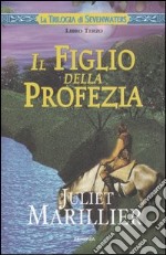 Il figlio della profezia. La trilogia di Sevenwaters (3) libro