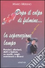 Dopo il colpo di fulmine... la separazione lampo libro