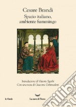 Spazio italiano, ambiente fiammingo libro