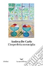 L'imperfetta meraviglia libro