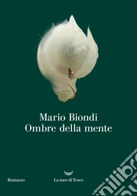 Un pezzo grosso libro