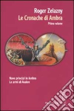 Le cronache di Ambra. Vol. 1 libro