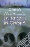 Un Regno in ombra libro