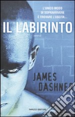 Il labirinto libro