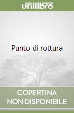 Punto di rottura libro