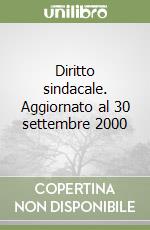 Diritto sindacale. Aggiornato al 30 settembre 2000 libro