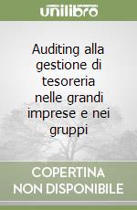 Auditing alla gestione di tesoreria nelle grandi imprese e nei gruppi libro