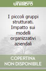 I piccoli gruppi strutturati. Impatto sui modelli organizzativi aziendali libro