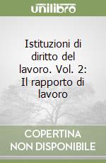 Istituzioni di diritto del lavoro. Vol. 2: Il rapporto di lavoro libro