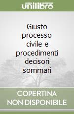 Giusto processo civile e procedimenti decisori sommari libro