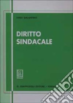 Diritto sindacale. Aggiornato al 30 giugno 2001 libro