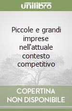 Piccole e grandi imprese nell'attuale contesto competitivo libro