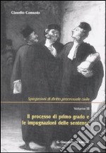 Spiegazioni di diritto processuale civile (3)